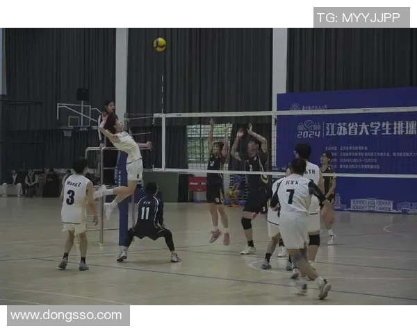 广州排球队的默契配合与战术分析探讨排球运动的魅力与团队精神