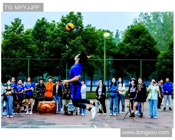 深圳排球队的奋斗与荣耀：一段不平凡的排球纪实之旅